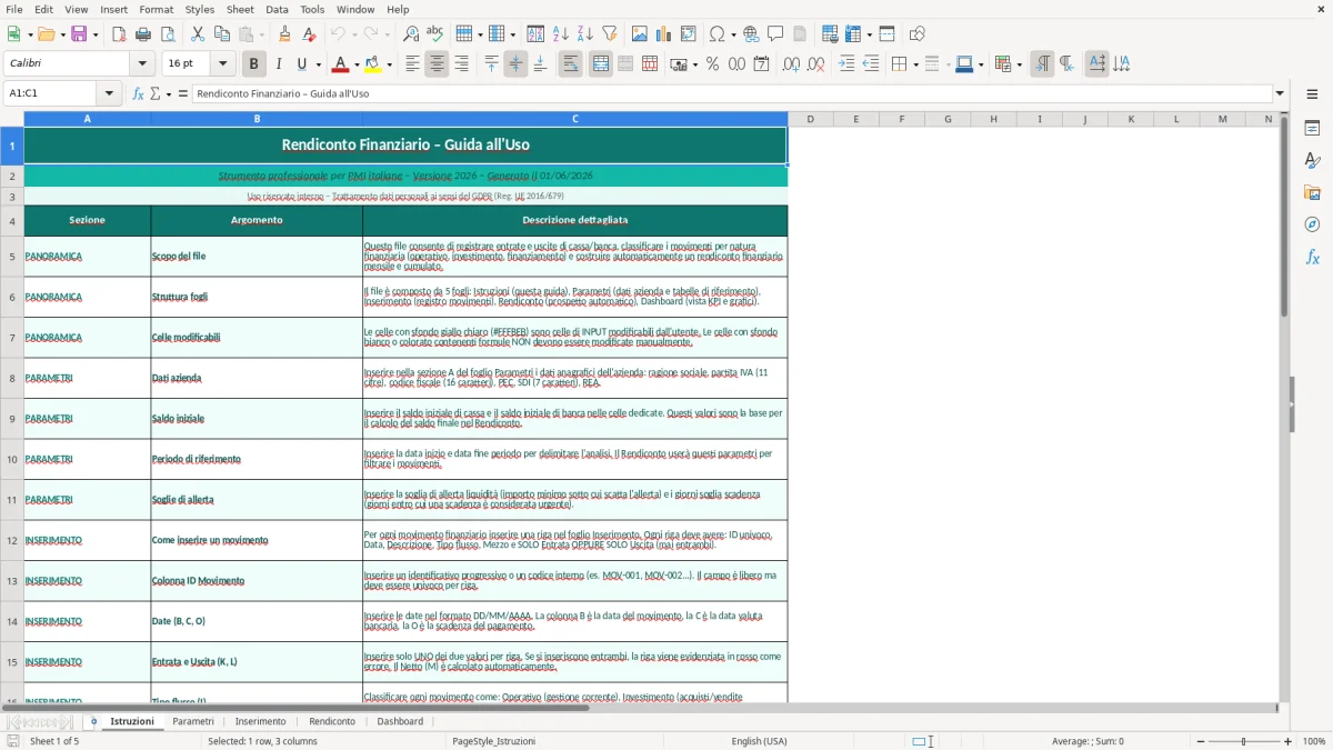 Screenshot 1: Foglio Istruzioni - Modello Excel rendiconto finanziario excel